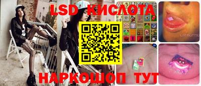СК Краснодар