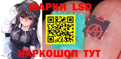 СК Краснодар