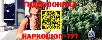 СК Краснодар