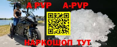 СК Краснодар