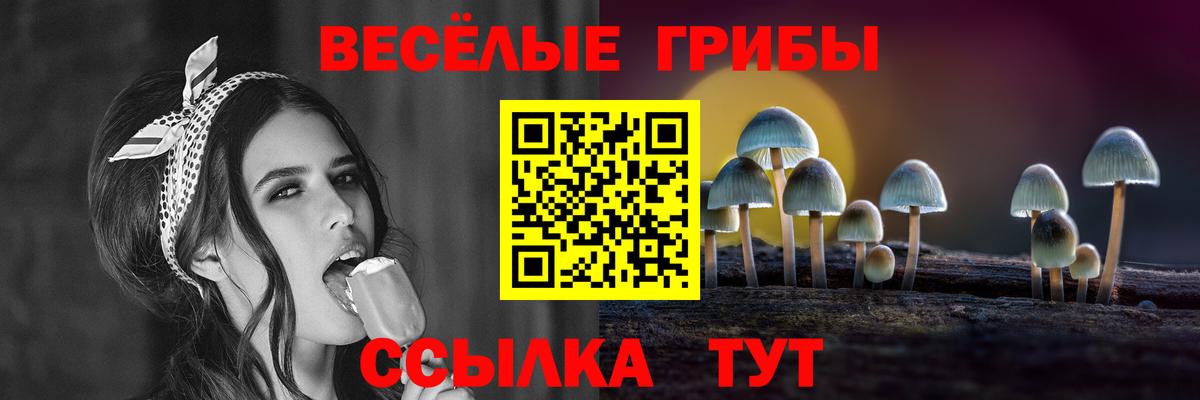 Галлюциногенные грибы GOLDEN TEACHER Арсеньев